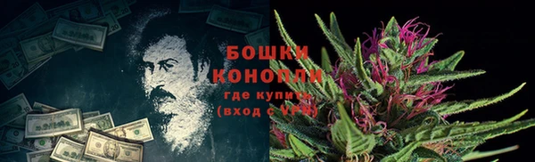 круглые Карпинск