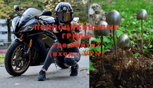 прущая мука Каменск-Шахтинский