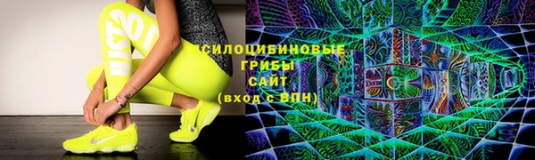 круглые Карпинск