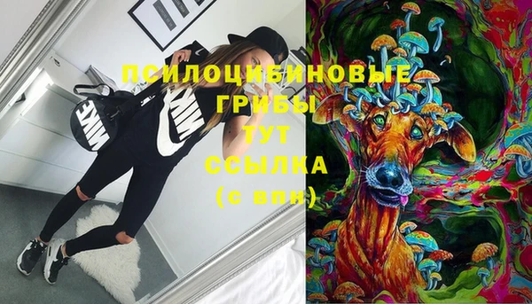 МДПВ Киренск