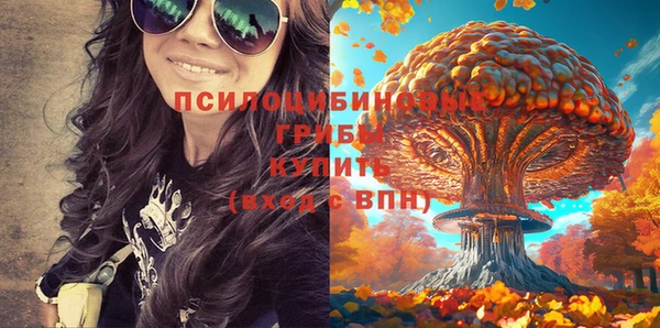 прущая мука Каменск-Шахтинский