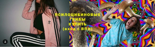 круглые Карпинск