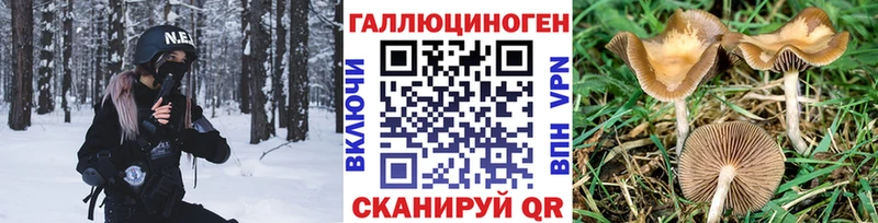 цена   Лодейное Поле  Псилоцибиновые грибы Psilocybine cubensis 
